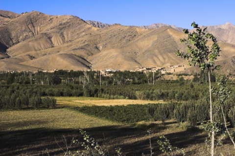 AFGHANISTAN, Sar-e-Cheshma , "Between Kabul and Bamiyan (the southern route), Fields near