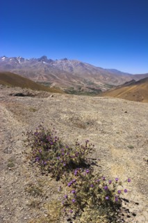 AFGHANISTAN, Landscape, "Between Kabul and Bamiyan (the southern route), Hajigak pass (12,140ft,