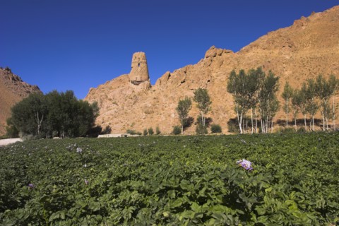 AFGHANISTAN, Bamiyan Province, Bamiyan, "Kakrak valley, watchtower at ruins which were once the