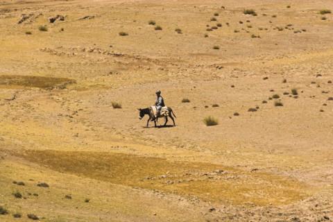AFGHANISTAN, , Shepard with sheep between Chakhcharan and Jam