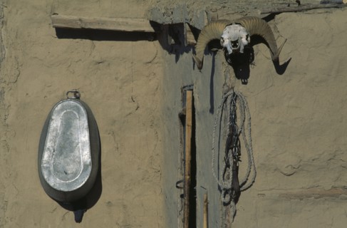 MONGOLIA, Bayan Olgii Province, Bulgan, Goat skull charm on wall of building in Kazakh nomad