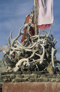 NEPAL, Mustang, Lo Manthang, Shrine of goat skulls and antlers protecting the palace of the king