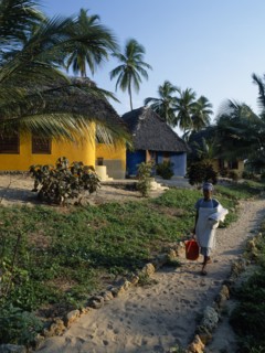 TANZANIA, Pangani, The Tides Hotel.  Brightly painted thatched huts amongst palm trees with maid