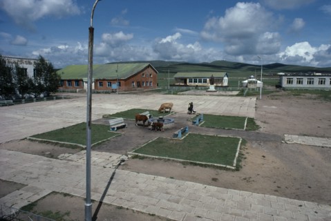 MONGOLIA, Gurwanbayan, Town centre with cattle grazing in public square and two people with