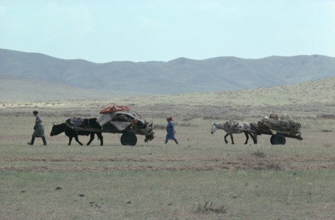 MONGOLIA, Animals, Nomad family leading yak and horse drawn carts laden with their belongings
