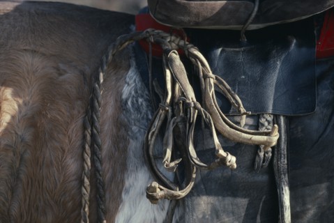 MONGOLIA, Animals, Close cropped view of hobbles tied to saddle of pony.