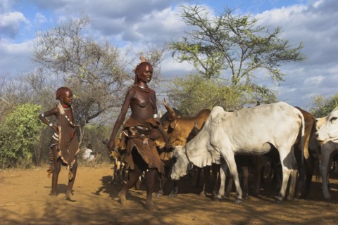 ETHIOPIA, Lower Omo Valley, Turmi, "Hama Jumping of the Bulls initiation ceremony, Ritual dancing