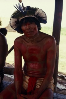 BRAZIL, Mato Grosso, Indigenous Park of the Xingu, Portrait of Panara elder Kokridi  with face and