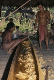 COLOMBIA, Choco, Embera Indigenous People, Two Embera men discuss final shaping of wooden dug-out