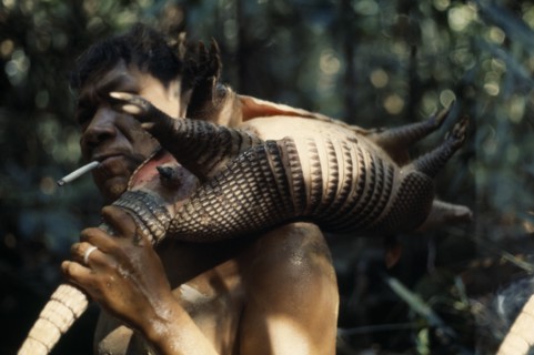 COLOMBIA, North West Amazon , Vaupes, Maku nomadic hunter  Umero  returns from forest with