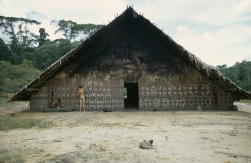 COLOMBIA, North West Amazon, Tukano Indigenous People, Barasana man painting design on front of