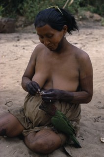 COLOMBIA, North West Amazon, Tukano Indigenous People, Barasana woman with dark purple we leaf dye