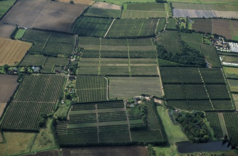 ENGLAND, Kent, Landscape, Aerial view over orchards at Broom Street North East of Faversham