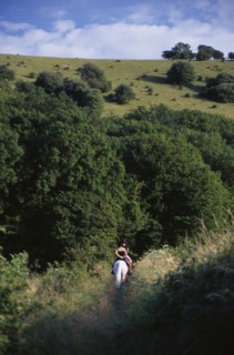 ENGLAND, East Sussex, Plumpton, Horse riders on a bridlepath at the foot of the South Downs.