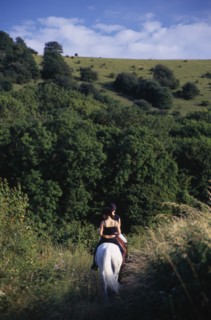 ENGLAND, East Sussex, Plumpton, Horse riders on a bridlepath at the foot of the South Downs.