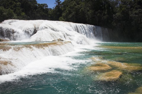 MEXICO, Chiapas, "Parque Nacional Agua Azul,", "Cascada Agua Azul, Agua Azul Waterfall, near