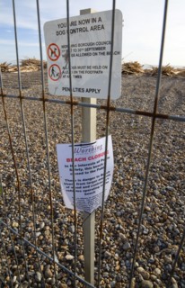 ENGLAND, West Sussex, Worthing, Timber washed up on the beach from the Greek registered Ice
