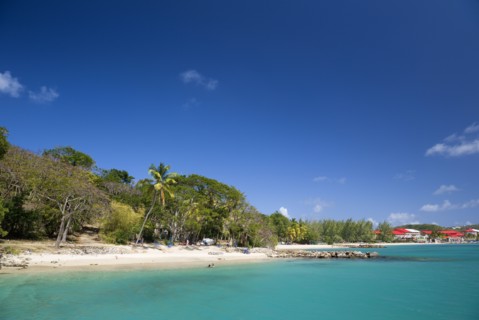 WEST INDIES, St Lucia, Gros Islet, Pigeon Island National Historic Park Tourists on the beach lined