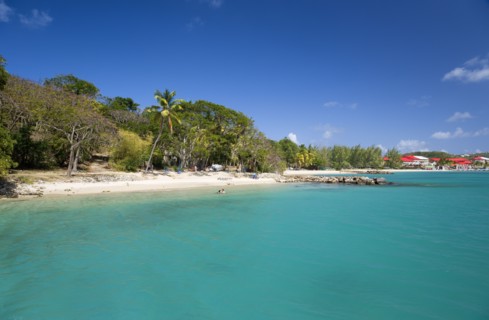 WEST INDIES, St Lucia, Gros Islet, Pigeon Island National Historic Park Tourists on the beach lined