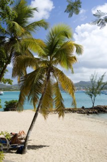 WEST INDIES, St Lucia, Gros Islet , Pigeon Island National Historic Park Tourists on the beach