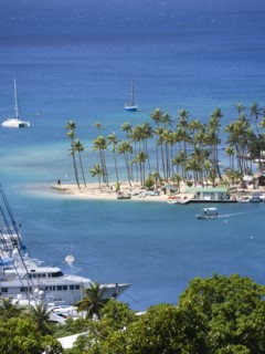 WEST INDIES, St Lucia, Castries , Marigot Bay Yachts at anchor beyond the small coconut palm tree