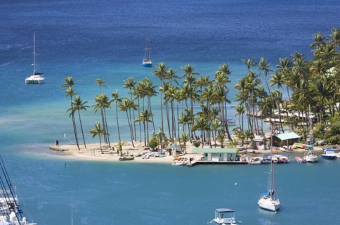 WEST INDIES, St Lucia, Castries , Marigot Bay Yachts at anchor beyond the small coconut palm tree