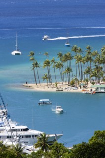 WEST INDIES, St Lucia, Castries , Marigot Bay Yachts at anchor beyond the small coconut palm tree