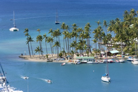 WEST INDIES, St Lucia, Castries , Marigot Bay Yachts at anchor beyond the small coconut palm tree