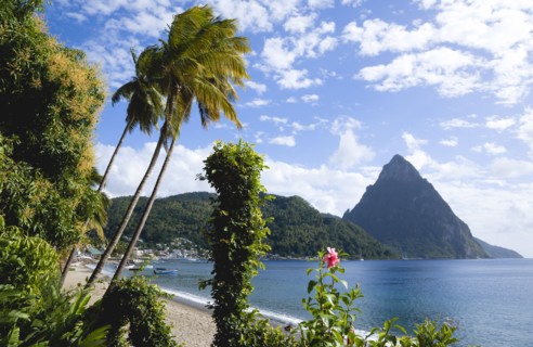 WEST INDIES, St Lucia, Soufriere, Beach lined with coconut palm trees with the town and the