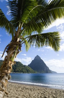 WEST INDIES, St Lucia, Soufriere, Soufriere Beach lined with coconut palm trees with the town and