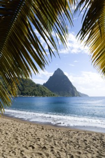 WEST INDIES, St Lucia, Soufriere, Soufriere Beach lined with coconut palm trees with the town and