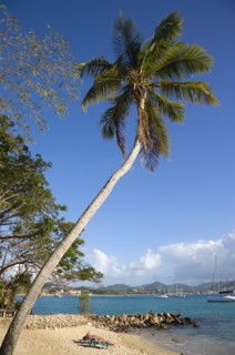 WEST INDIES, St Lucia, Gros Islet , Pigeon Island National Historic Park Tourists on the beach