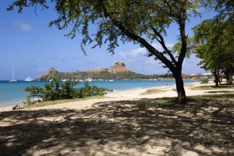 WEST INDIES, St Lucia, Gros Islet , Pigeon Island National Historic Park seen through trees from a