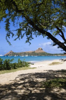 WEST INDIES, St Lucia, Gros Islet , Pigeon Island National Historic Park seen through trees from a