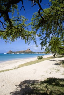 WEST INDIES, St Lucia, Gros Islet , Pigeon Island National Historic Park seen through trees from a