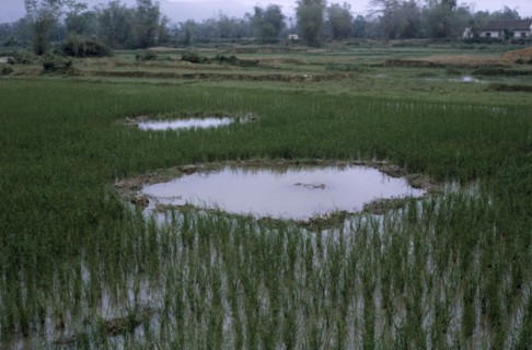 VIETNAM, North, War, Paddy fields with bomb craters.