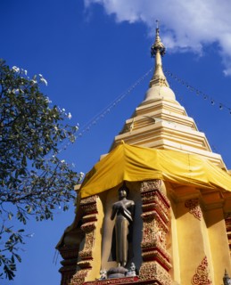 THAILAND, North, Chiang Mai, Standing Buddha statue below gold chedi wrapped in golden orange silk