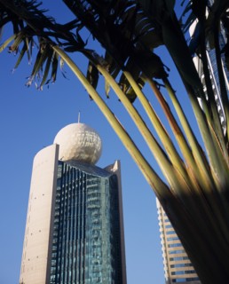UAE, Dubai, Deira, "Etisalat Building on Dubai Creek with traveller’s palm, partly in shadow in the