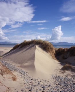WALES, Isle of Anglesey, Newborough Warren , Wind shaped sand dune topped with thatch of grasses