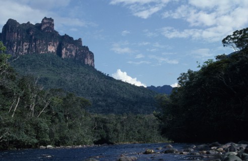 VENEZUELA, Estado Bolivar, Rio Carrao, "River flowing through tree covered landscape overlooked by