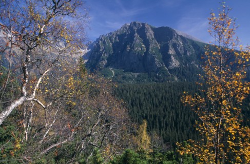 SLOVAKIA, Carpathian Mtns, High Tatras Mtns, View towards the High Tatras mountains from the