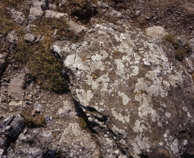 FRANCE, Languedoc-Roussillon, Aude, Pic de Bugarach (1230m).  Cathar cross cut into rock beside