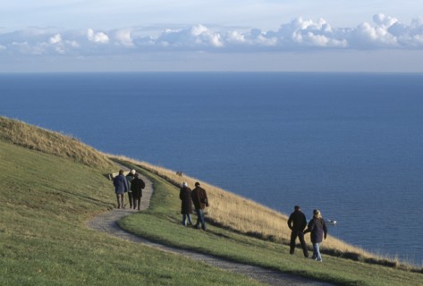 ENGLAND, East Sussex, Eastbourne, People walking together along winding path on cliff walk by