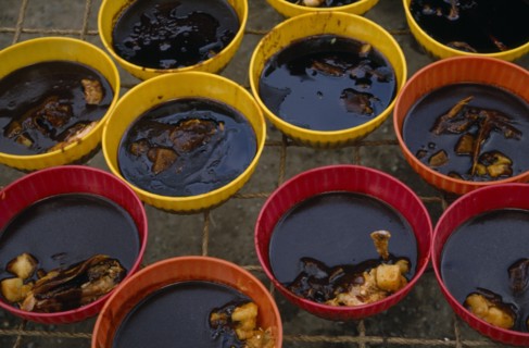 MEXICO, Juchitan, "Mole, a traditional dish of a thick, rich sauce containing chocolate and spices