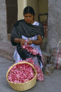 MEXICO, Guerrero, Woman flower seller sitting on step in street threading pink flower heads into