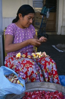 MEXICO, Juchitan, Woman in floral patterned skirt threading flower heads into garland at Juchitan
