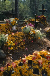 MEXICO, Michoacan, Patzcuaro, "Tzurumutaro Cemetery.  Graves decorated with candles, carved