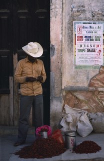 MEXICO, Oaxaca, Man standing beside crumbling plaster wall with pile of red chillies for sale at