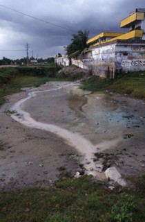 BANGLADESH, Dhaka, Savar, Area of water polluted by nearby dye factory.