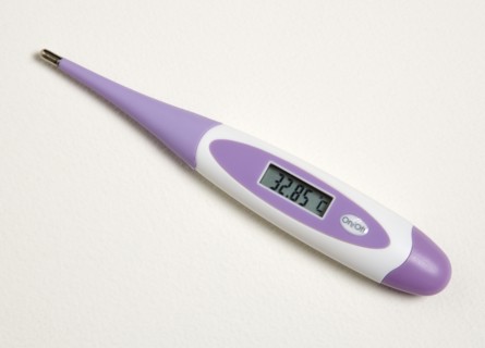 MEDICAL, Health, Measurement, Purple digital thermometer showing scale reading in degrees celcius